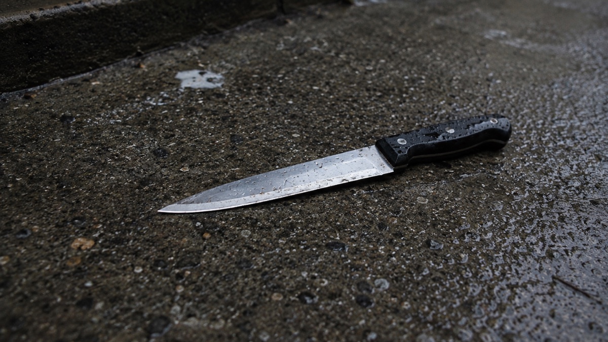 Meurtre au couteau à Mulhouse : deux hommes arrêtés après une rixe mortelle