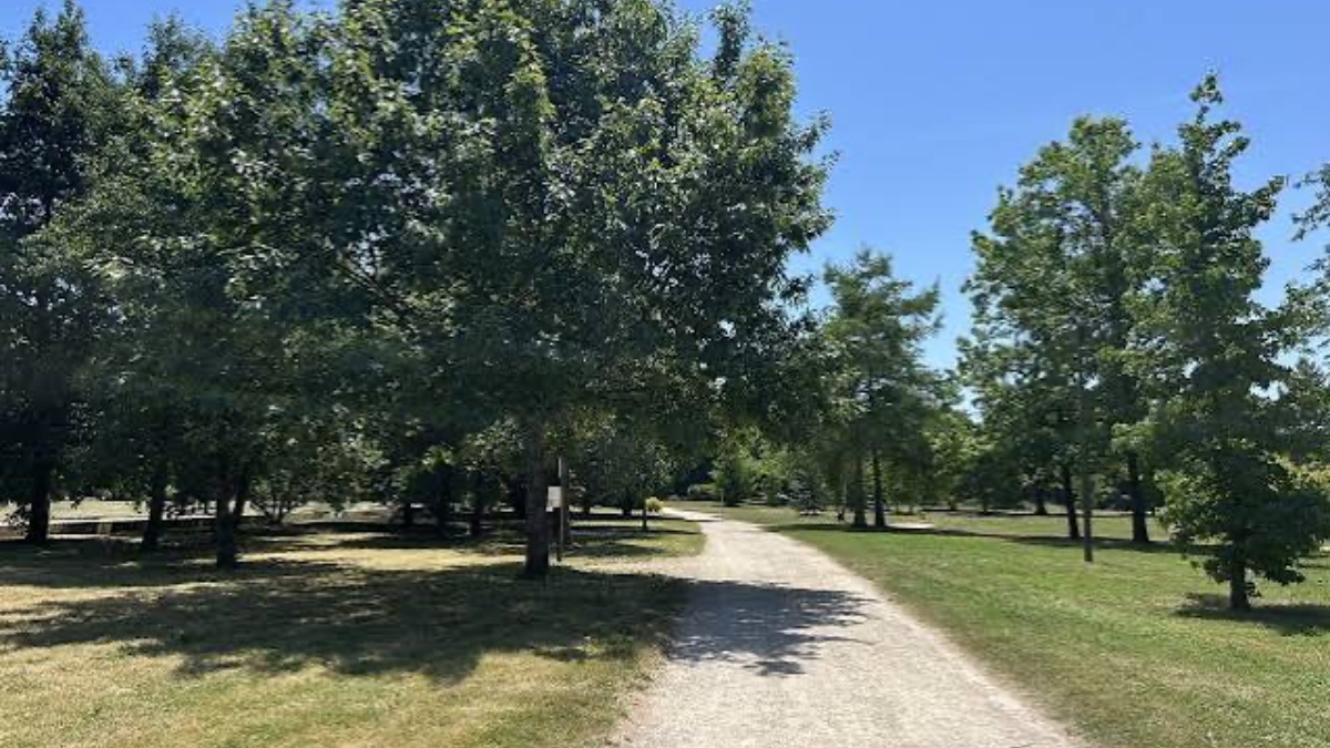 Mâcon : 4 agressions sexuelles au parc, un adolescent de 14 ans interpellé