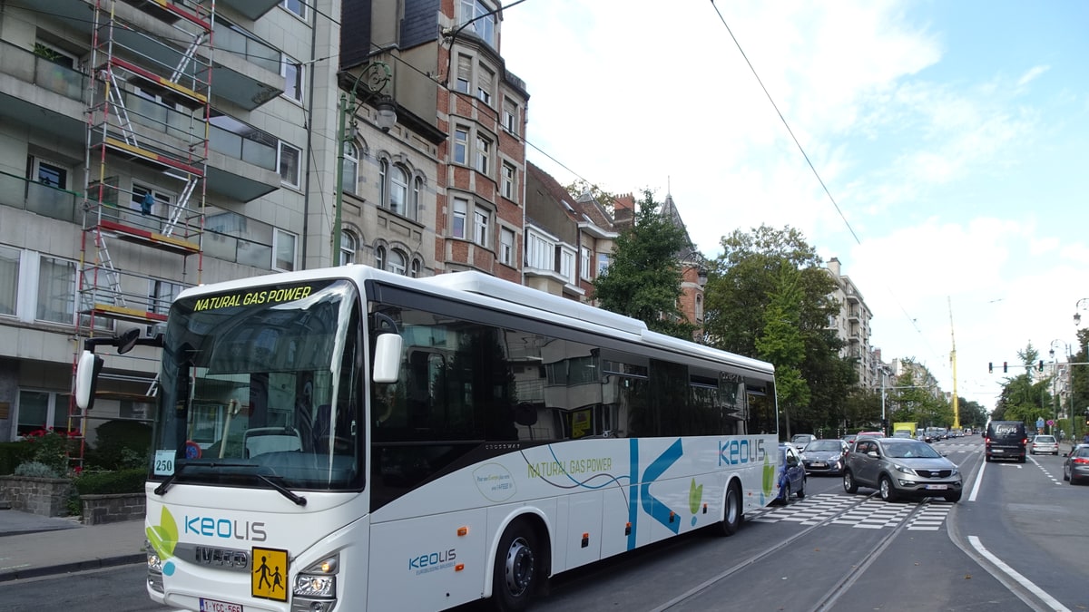 Drame de Buggenhout : des accompagnateurs avaient déjà signalé le comportement dangereux du chauffeur de bus — et trois jours après, un autre bus de la même société franchit le même passage à niveau au rouge